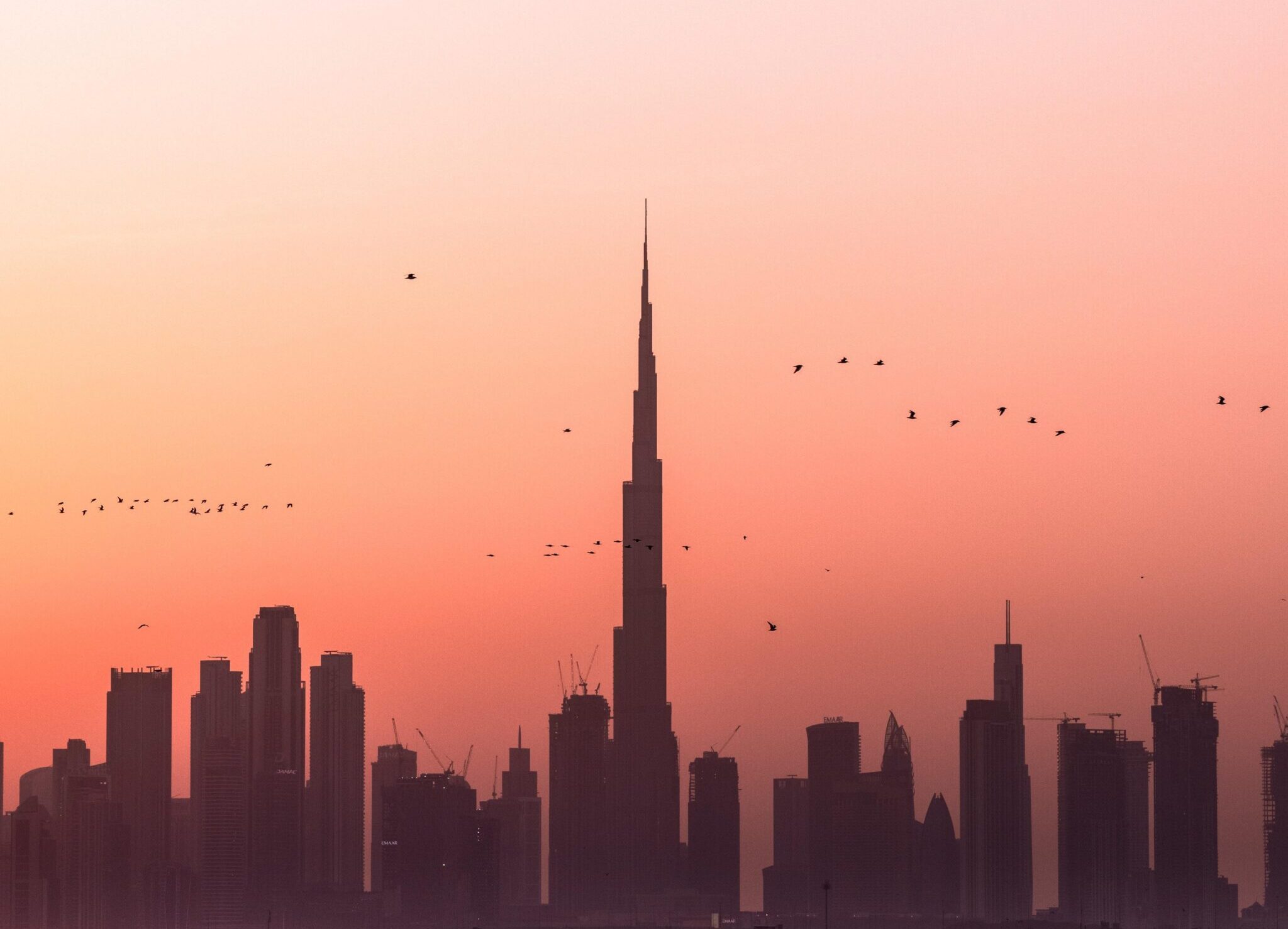 business setup company in dubai