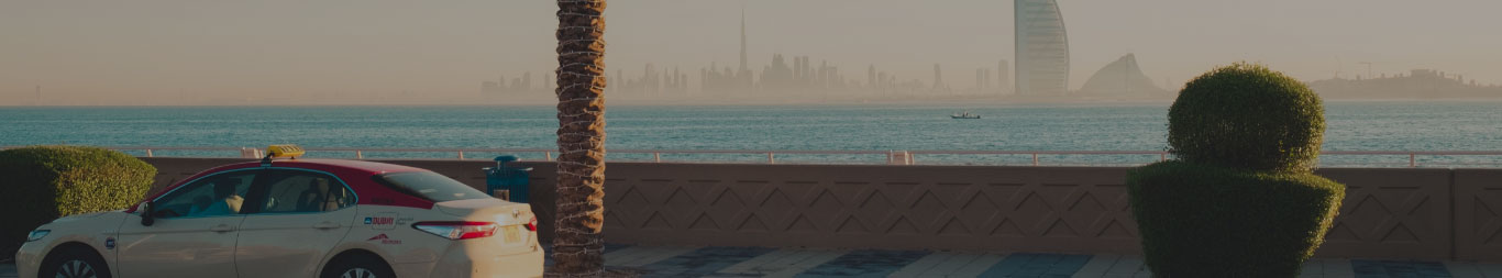 تأسيس شركة خارجية (أوفشور) في جبل علي