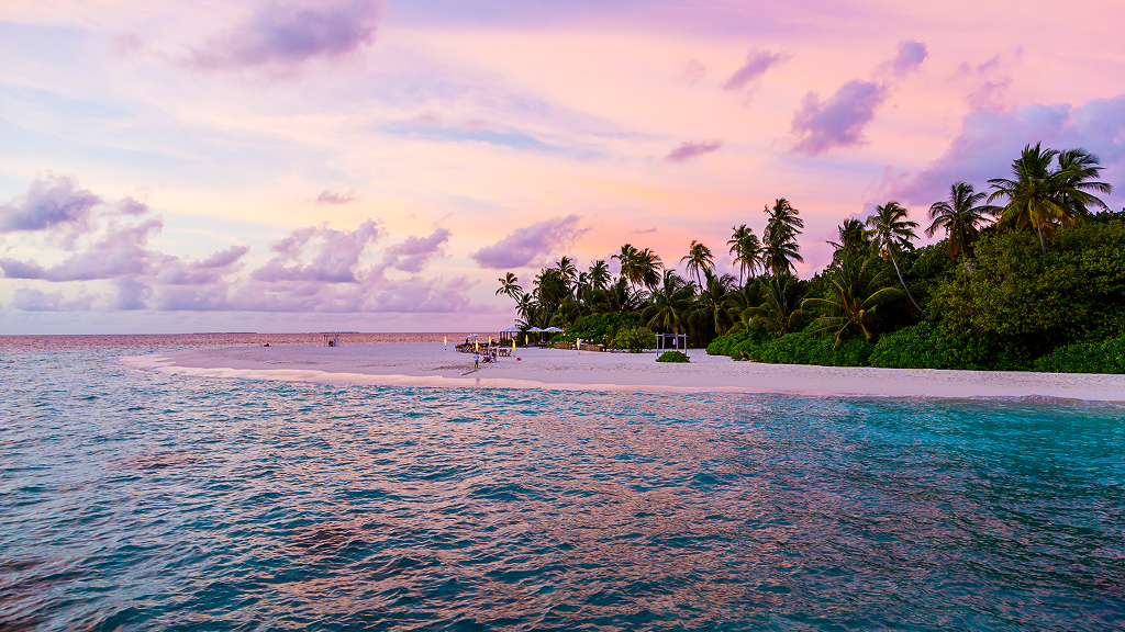 audit company seychelles